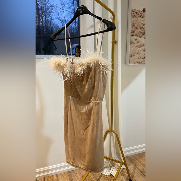 Super down Erika Feather Trim Mini Dress in champagne - Picture 4 of 4